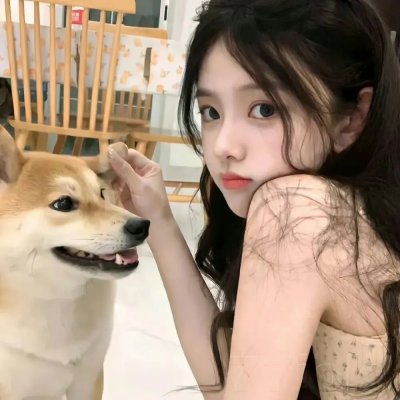 极限特工:终极回归